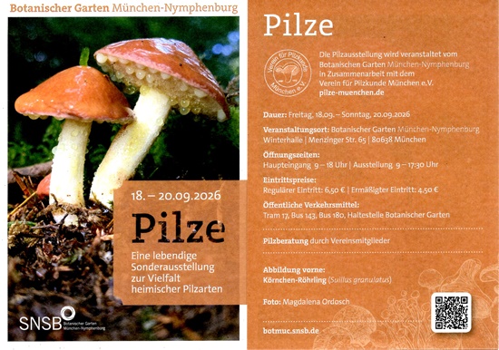 Verschiedene heimische Pilzarten bei der Pilzausstellung im Botanischen Garten M&uuml;nchen